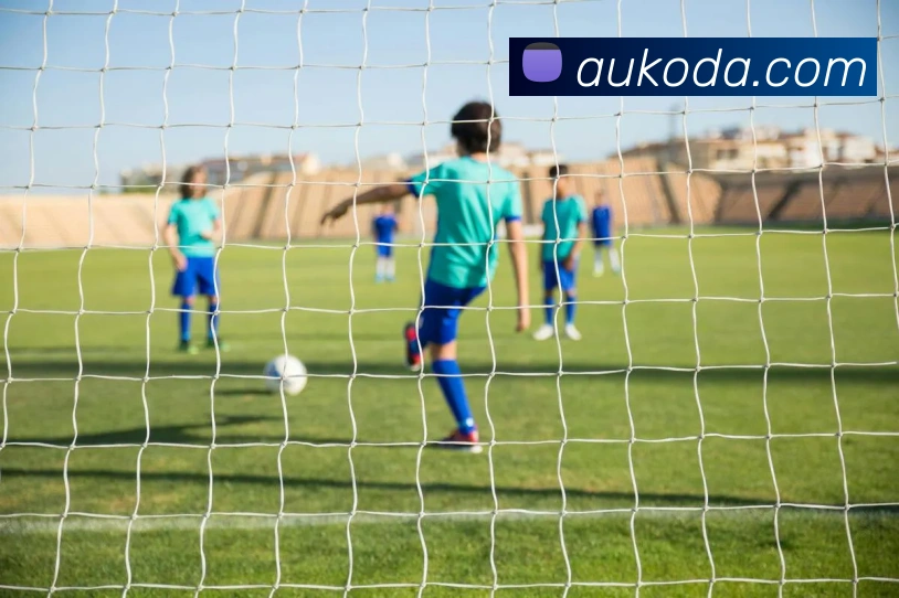 多媒体互动体验