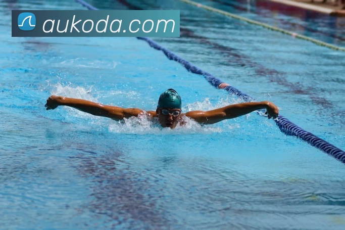 开云官方登陆入口APP 高清赛事图